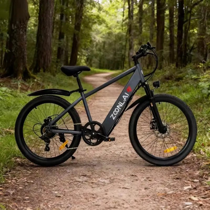Vélo Électrique Autonomie 60 km