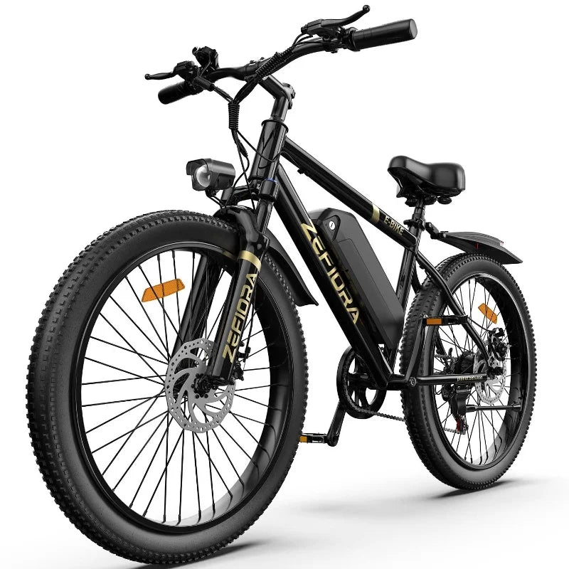 Vélo Électrique